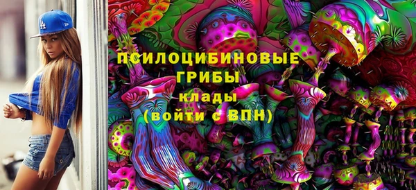 гашик Кукмор