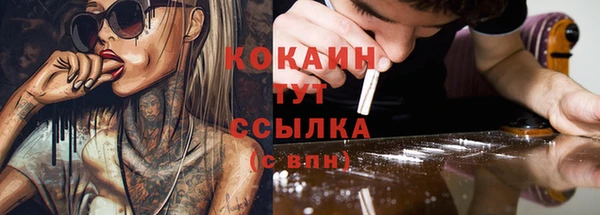 гашик Кукмор
